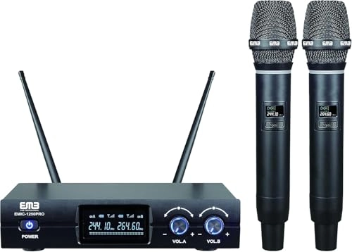 EM-200W - 2 Microphones FM
