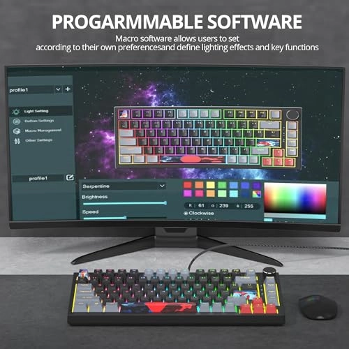 75% TKL Wired Mechanical Keyboard - Wired/Wireless