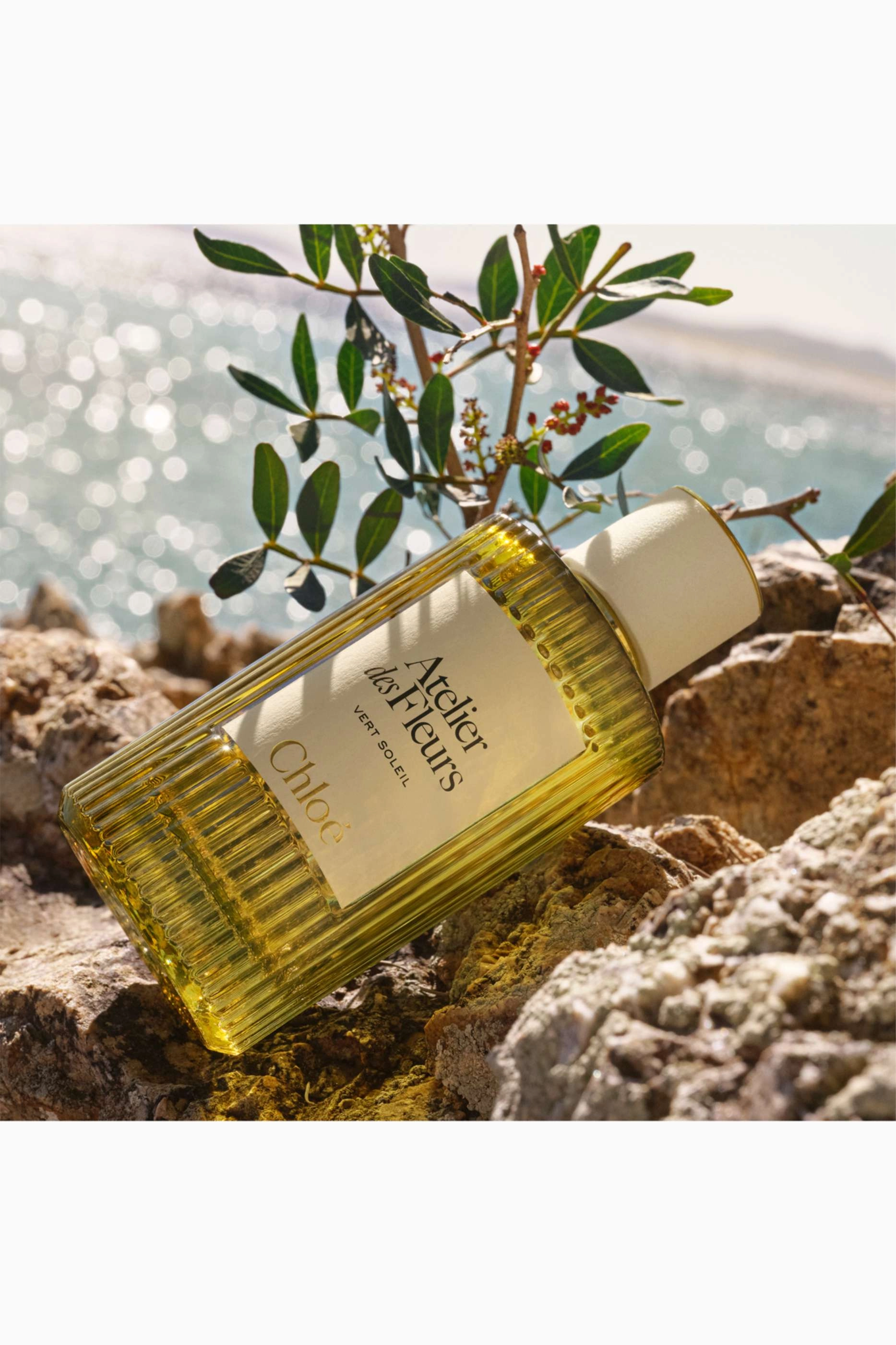 Atelier des Fleurs Vert Soleil Eau de Parfum 50ml