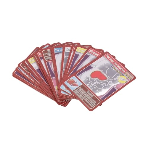 Human Body Anatomy Toy - 6 years and above