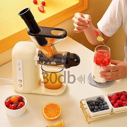 Cold Press Juicer - 100W 280ml