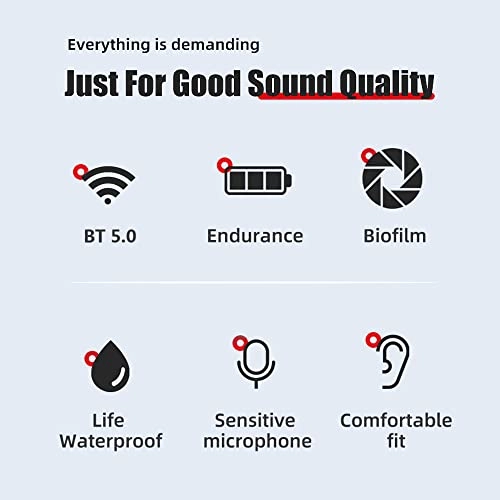 LP80 Wireless Earbud