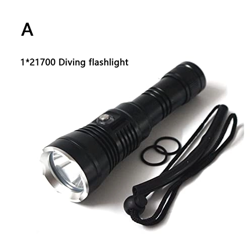Professional Submersible Light