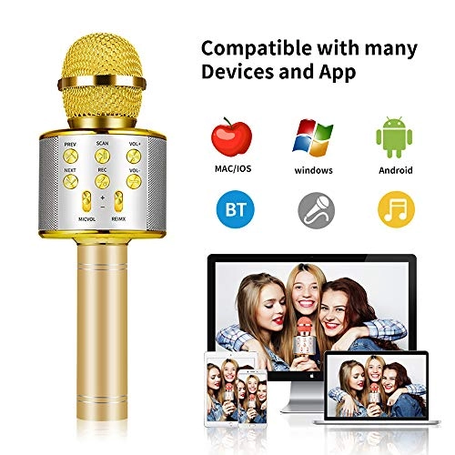 ZDARDYC10373GTDGZDAEDY Wireless Microphone