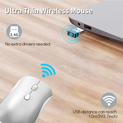 Ergonomic Optical Mouse - USB Wireless