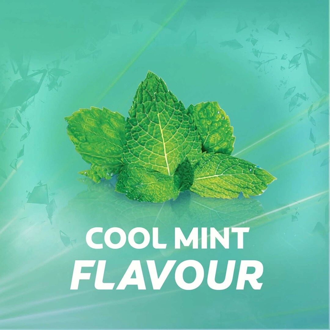 Max Fresh Clean Mint Toothpaste 100ml