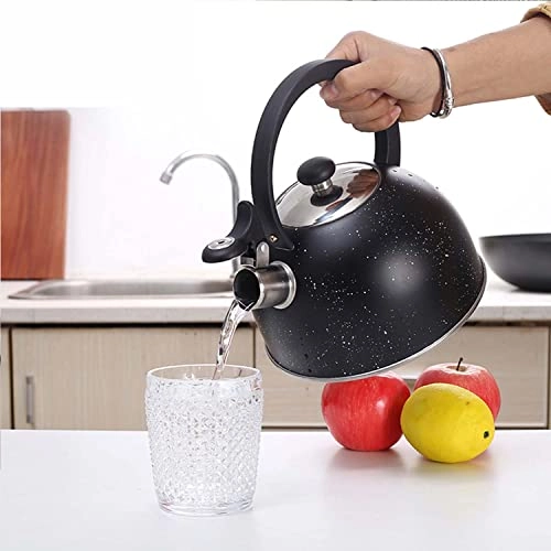 Stainless Steel Kettle - 2.5L