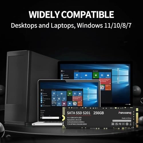 S201 - 256GB M.2 2280