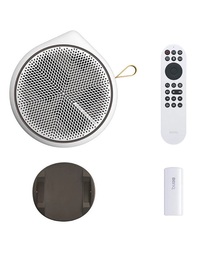 GV31 300 ANSI lumens