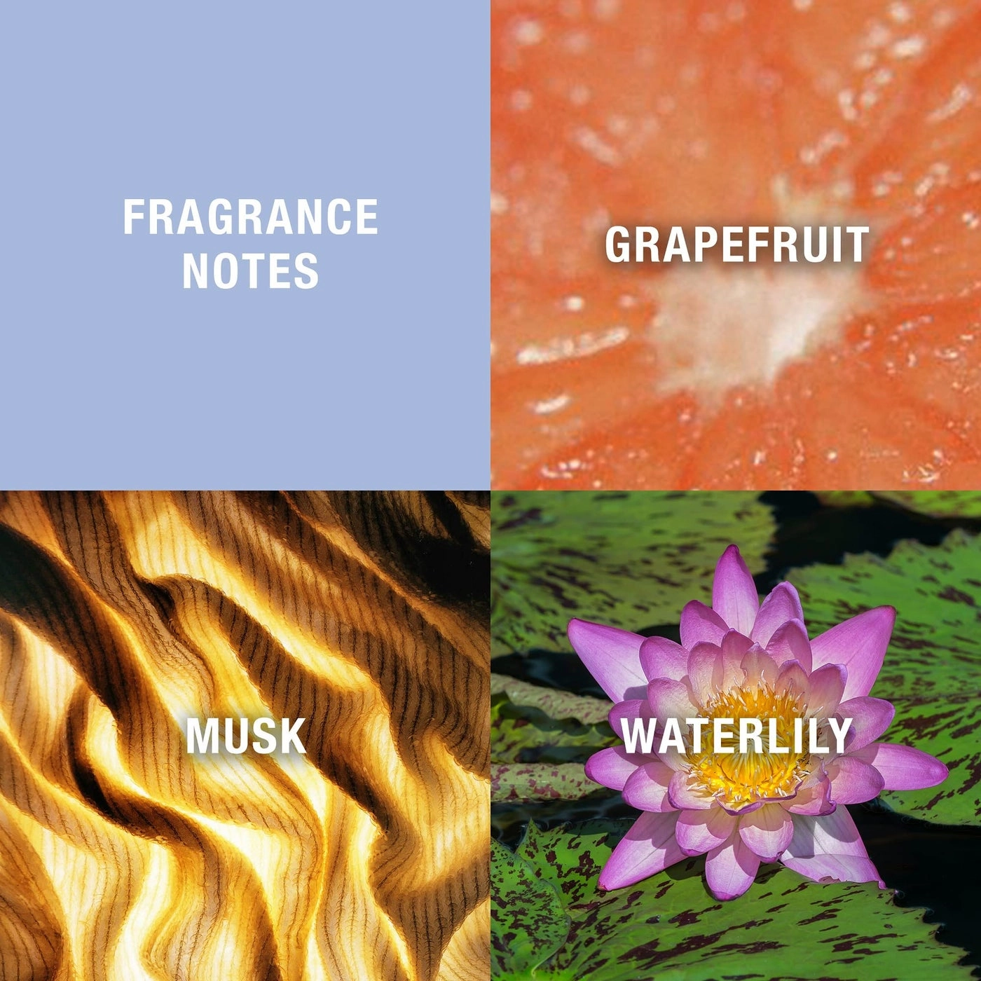 Women's Perfume Eau de Toilette 3.4 fl oz