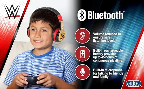 WW-B52 Wireless Headphone