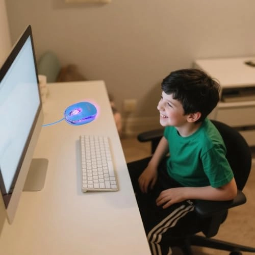 Computer Mouse - USB