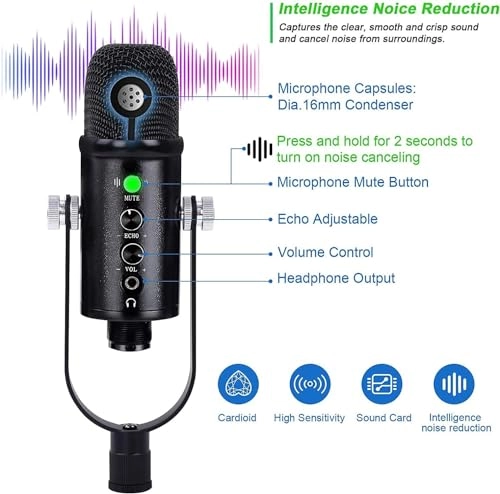 BM-86PRO 3.5mm-Mini-Jack+USB Microphone