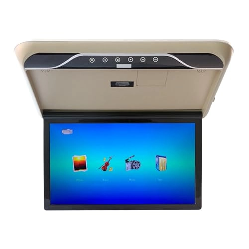 Car ceiling display - 19-Inch