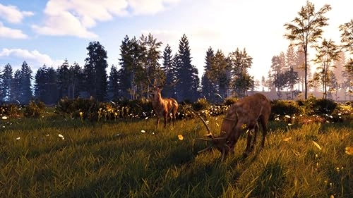 Windstorm: Start of a Great Friendship Remastered - PlayStation 5