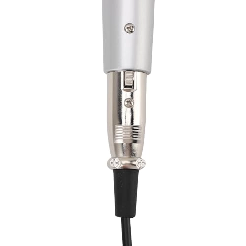 Bewinner2tvc41ykxu Wired+Wireless Microphone