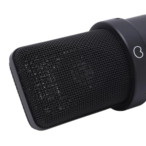 ASHATAkary6ep7i5-11 XLR Microphone