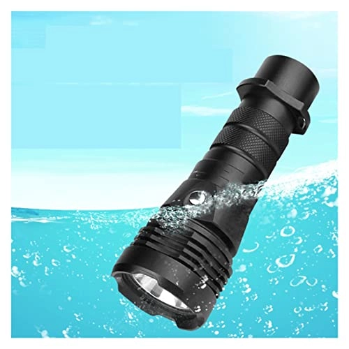 Dive Light