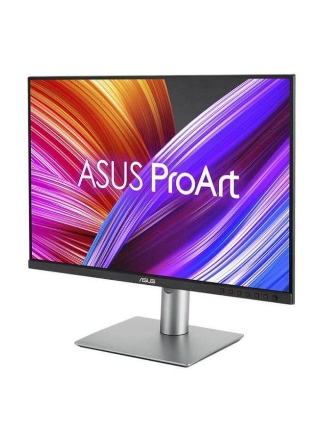 PA248CRV - 24 Inch 1920 X 1200