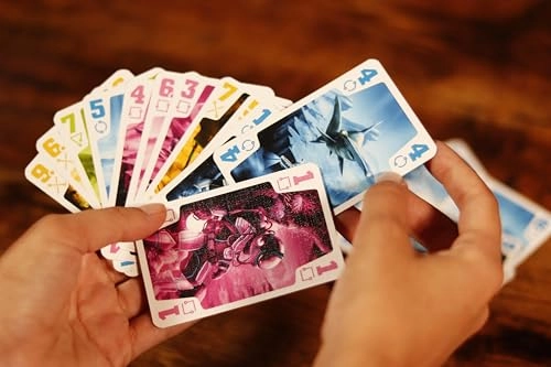 The Crew: Mission Underwater (French)