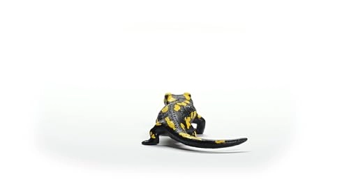 Fire Salamander - 4+