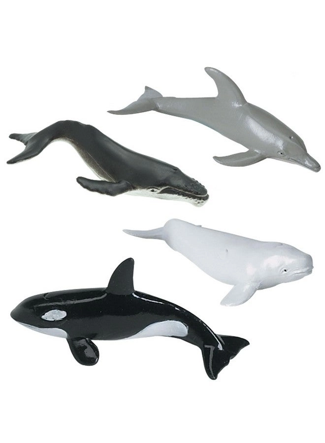 Whales & Dolphins TOOB - 12 pcs