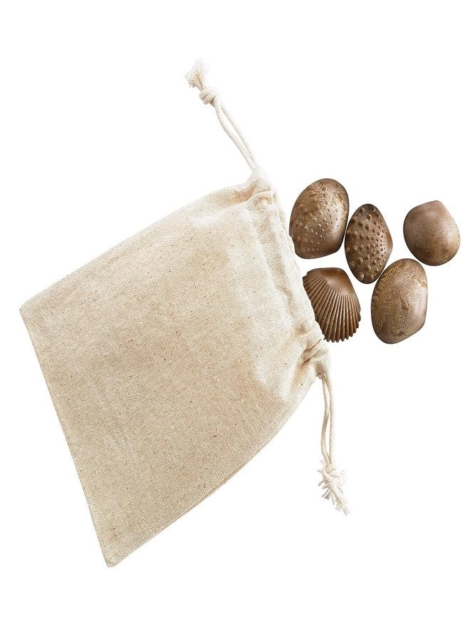 Tactile Shells - Ages 18m+ 36 Pieces