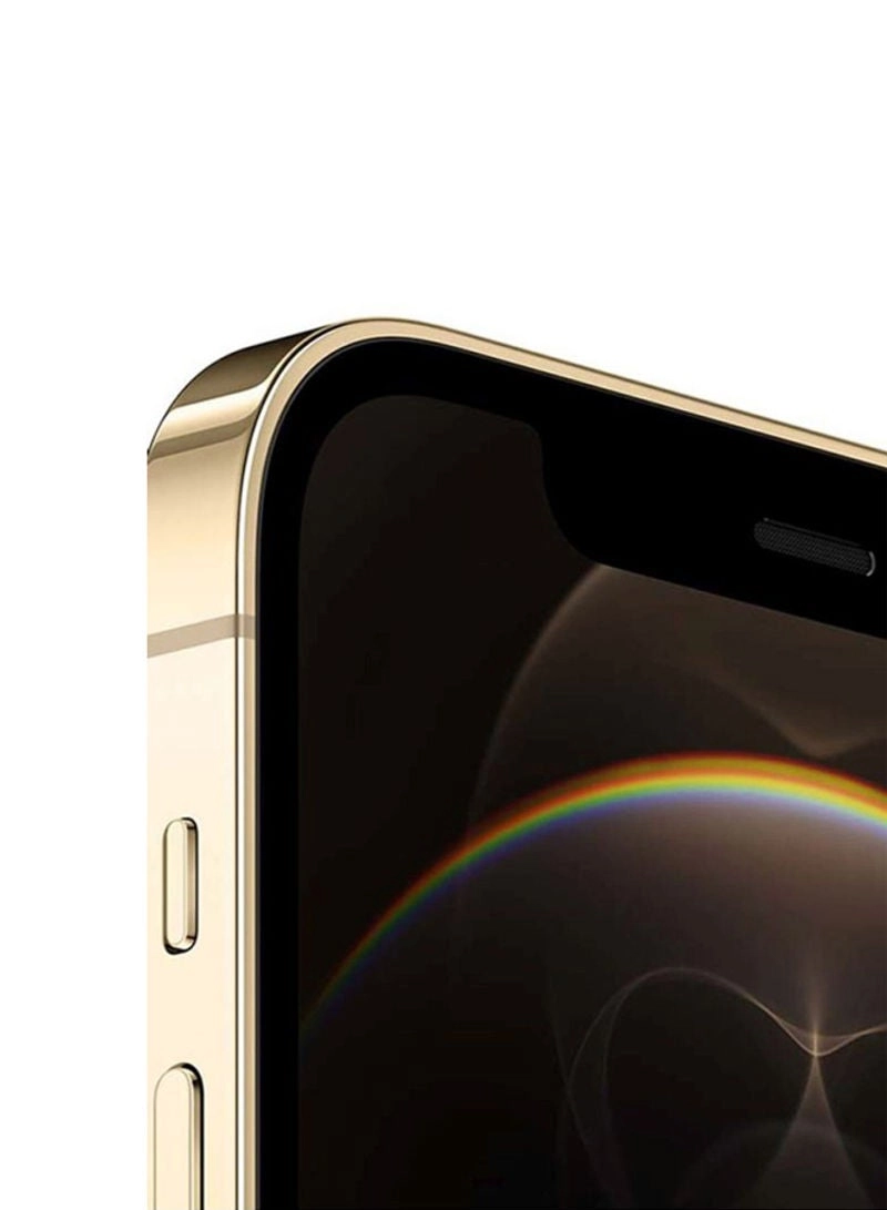 (Renewed) iPhone 12 Pro - 256GB