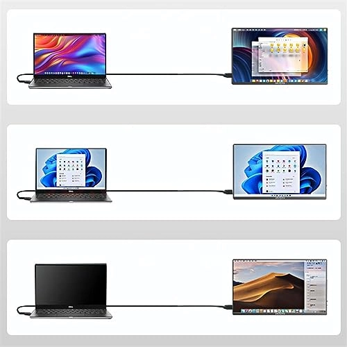 Portable Monitor - wpenshiDM125 17.3 inches 1920*1080