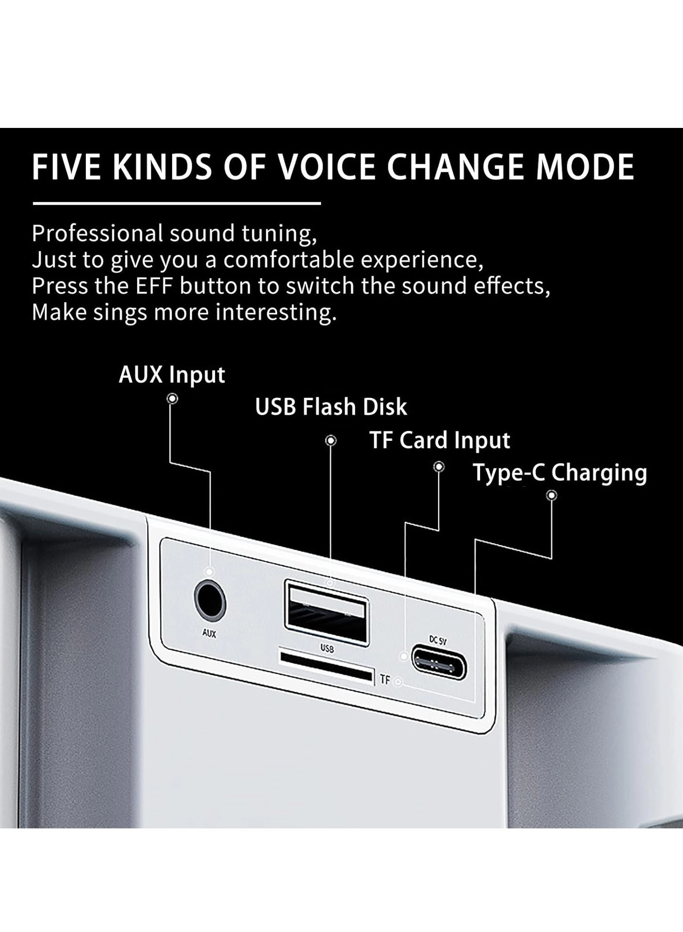 Karaoke Machine - Dual Wireless Microphones