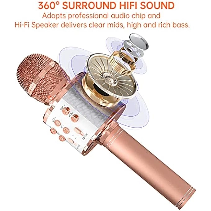 rayihni Karaoke Microphone Pack