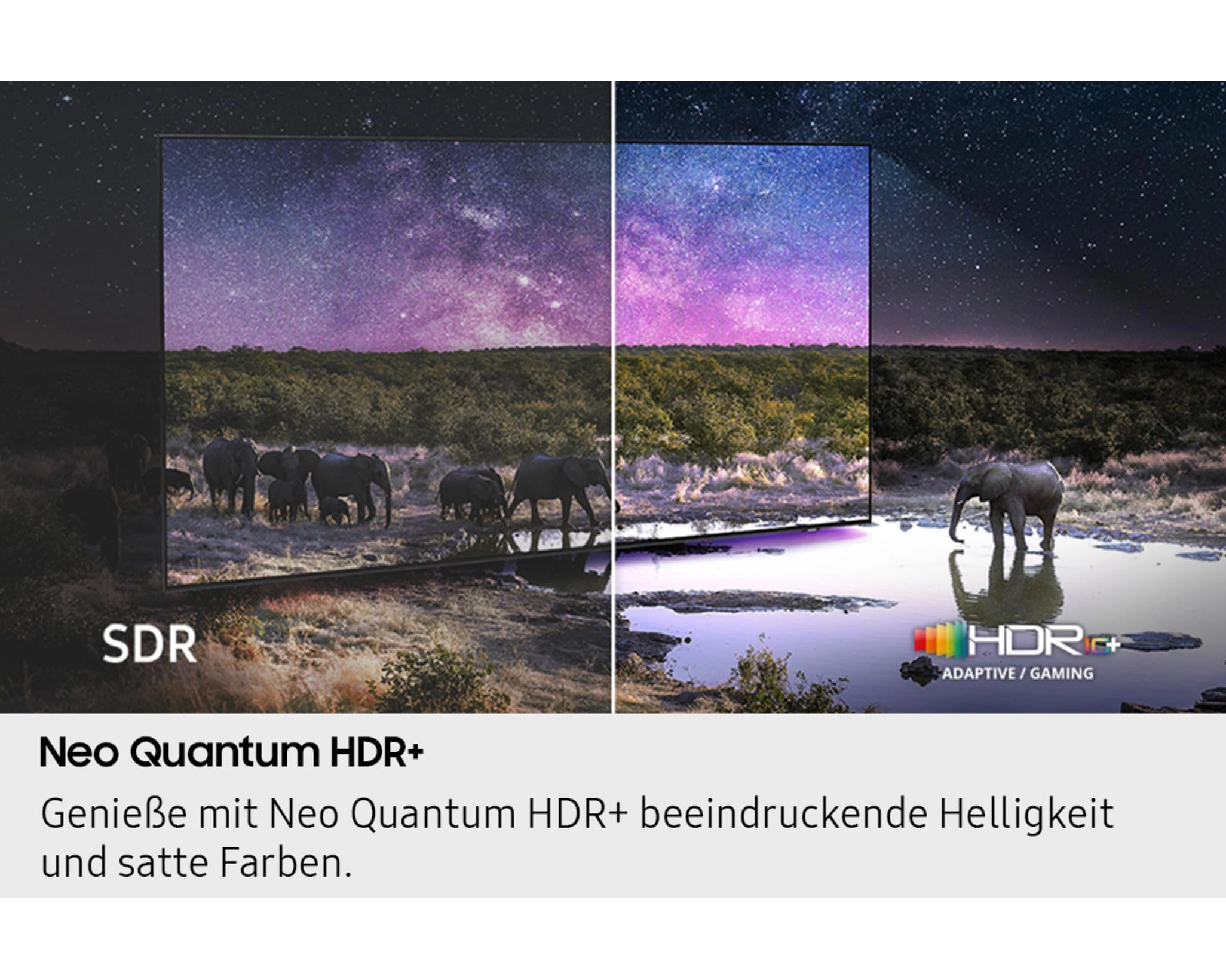 QA85QN85FAUXZN - 85 INCH