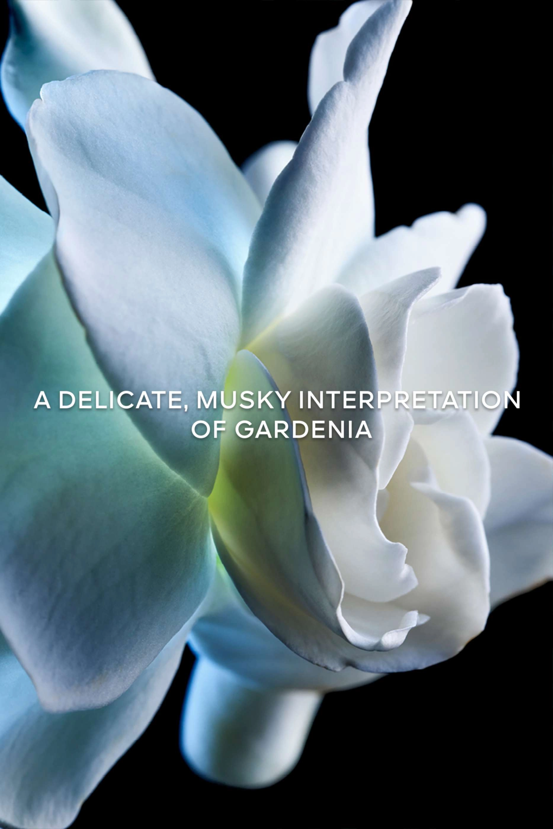 Cruel Gardénia Eau de Parfum - 200ml