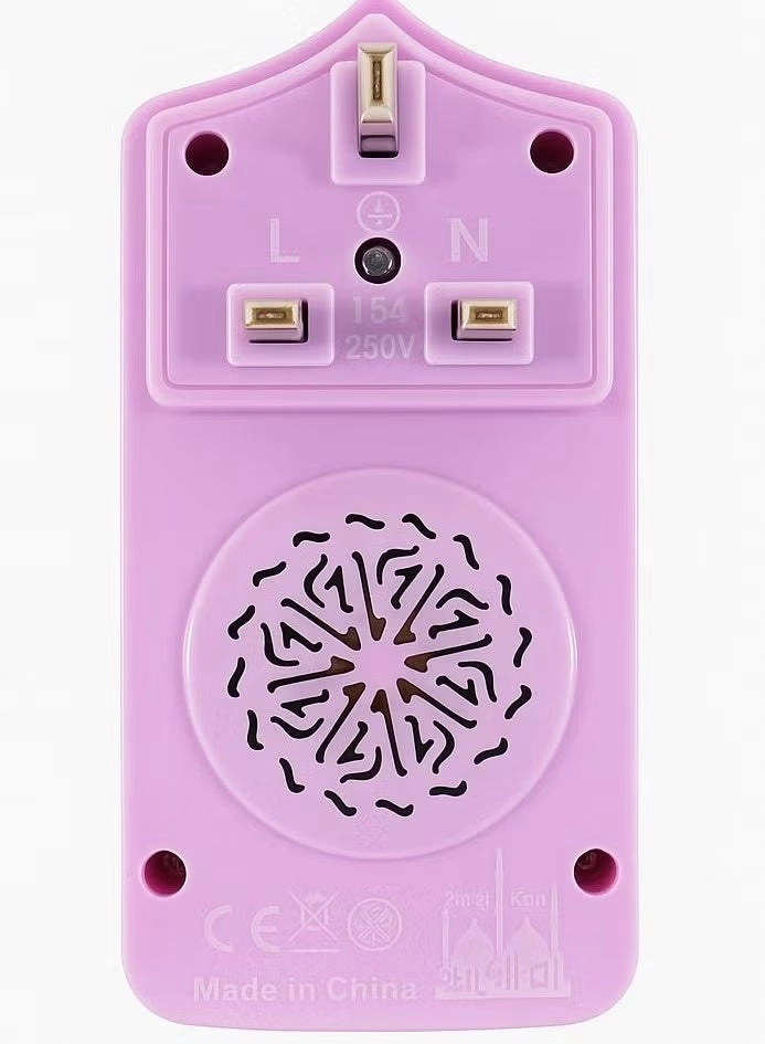 Electric Quran Plug