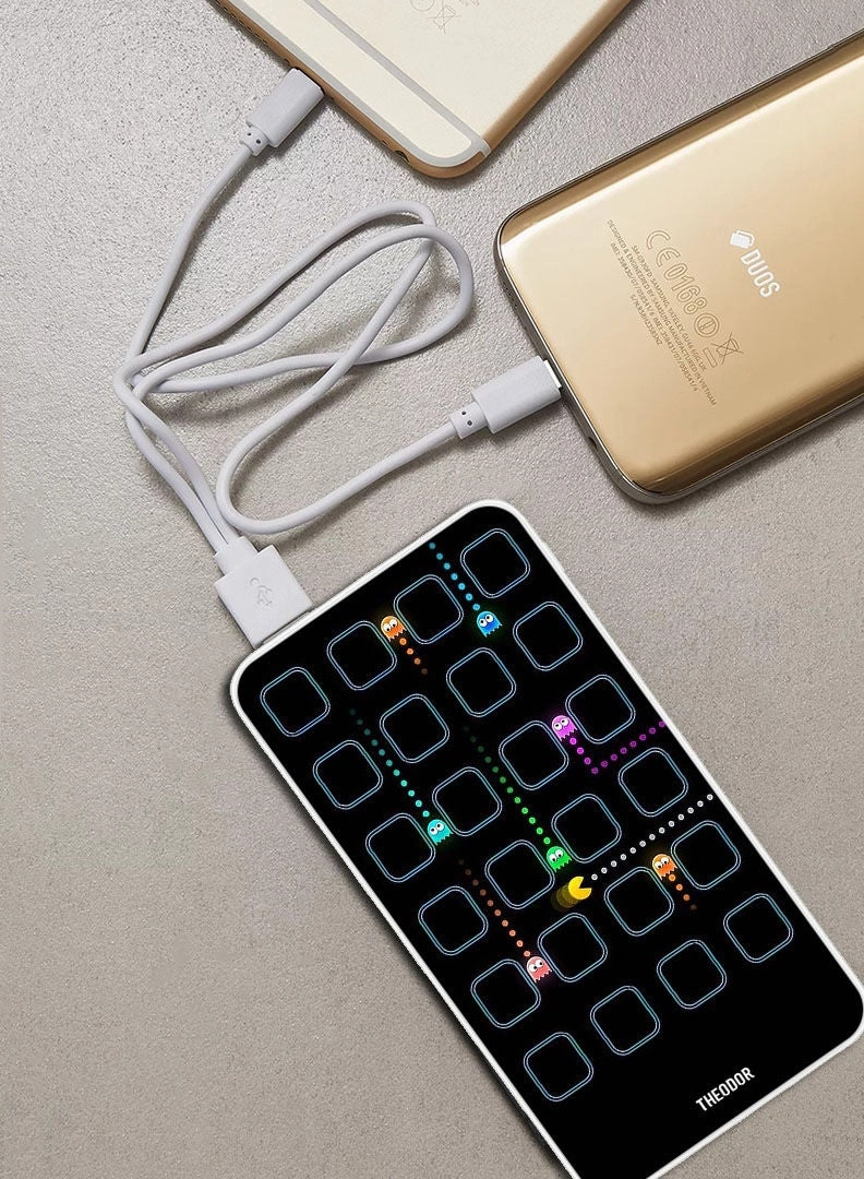 PPBA408 - 10000 Watt-hour 18W PD