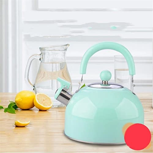 Stainless Steel Kettle - 2.5L