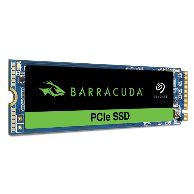 BarraCuda 510 - 250 GB M.2