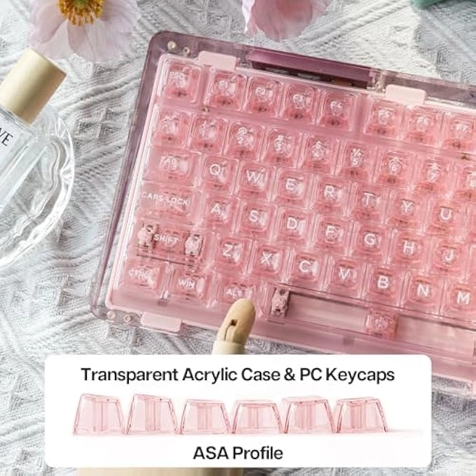 Phantom 81 - Wired/Wireless