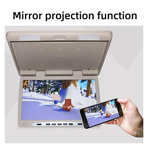 Car Ceiling Display - 19 Inch