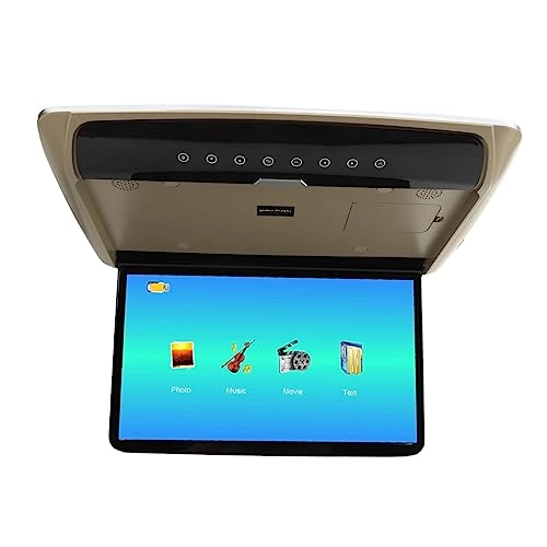 Car Overhead Player - 15.6in