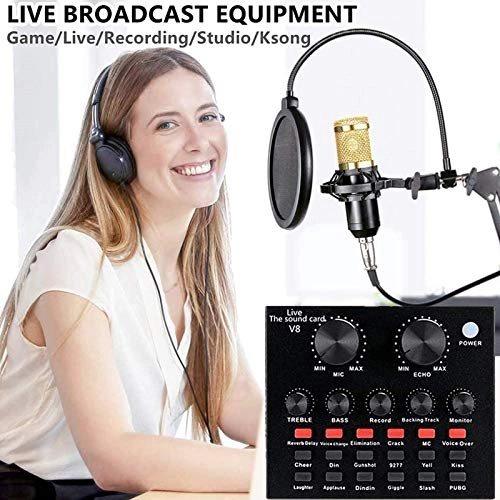 Condenser Microphone Kit - Wired Microphone Live Sound Card Voice Changer
