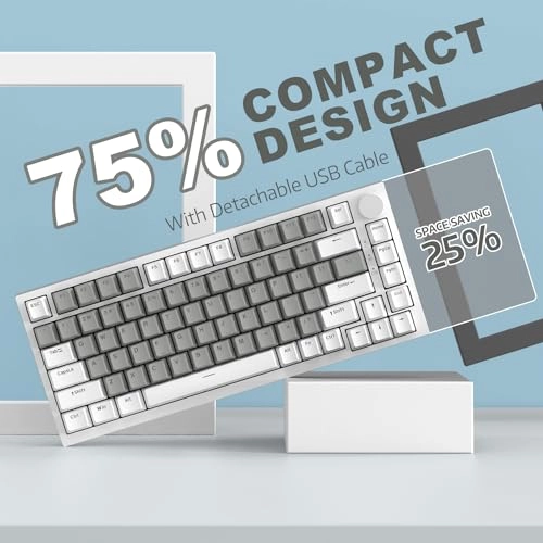 AK820 - QWERTY Wired