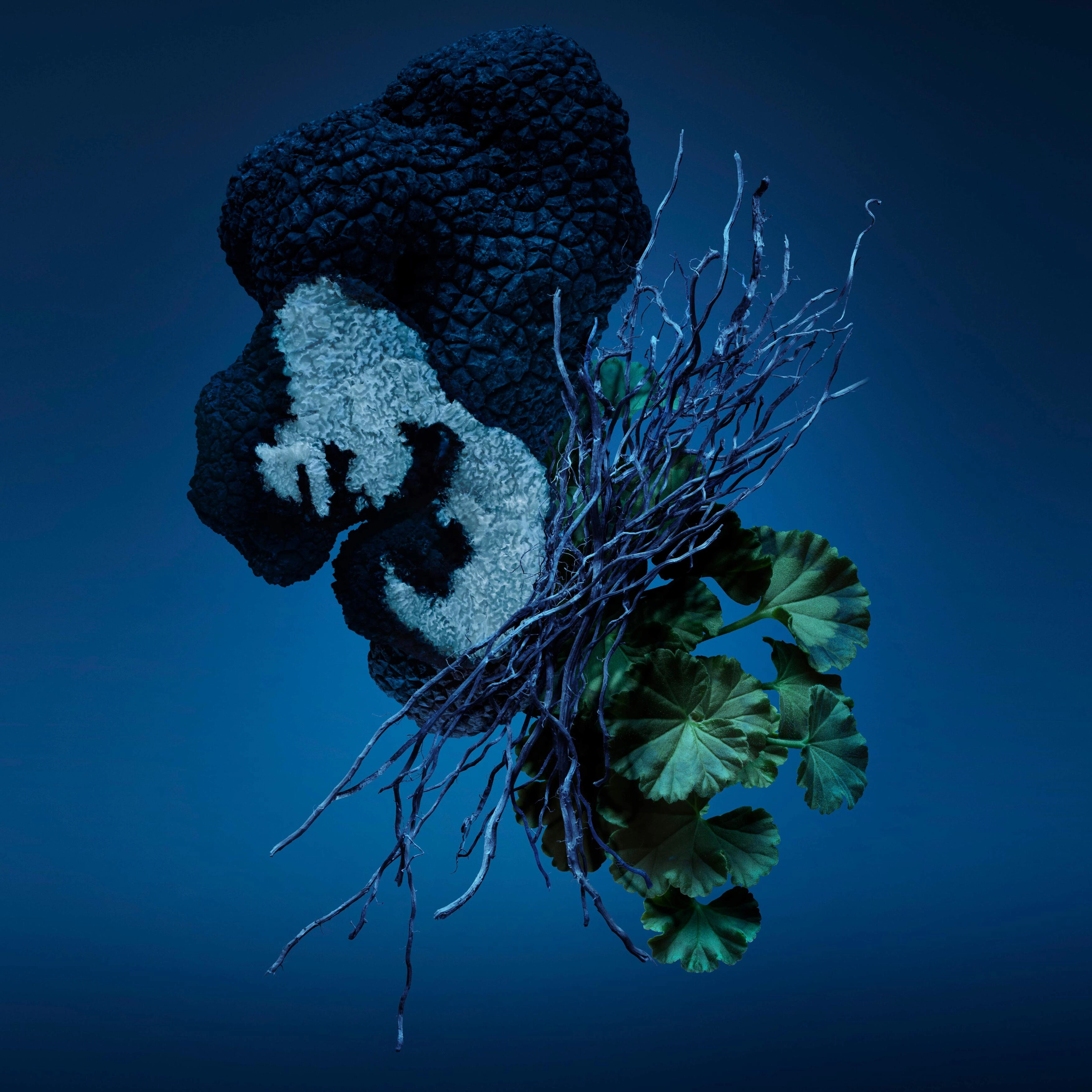 Bad Boy Cobalt Elixir Eau de Parfum - 100ML