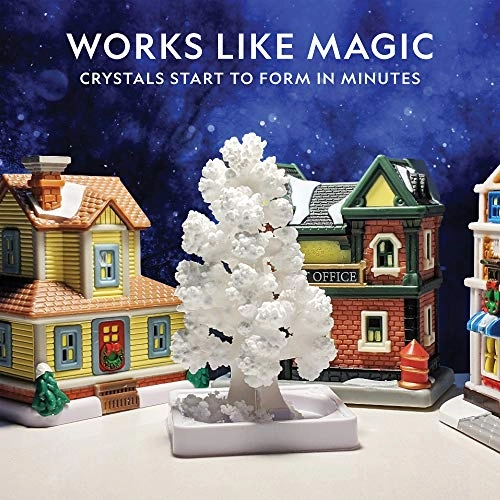 Crystal Growing Kit - Grow a Crystal Garden 6 Hours