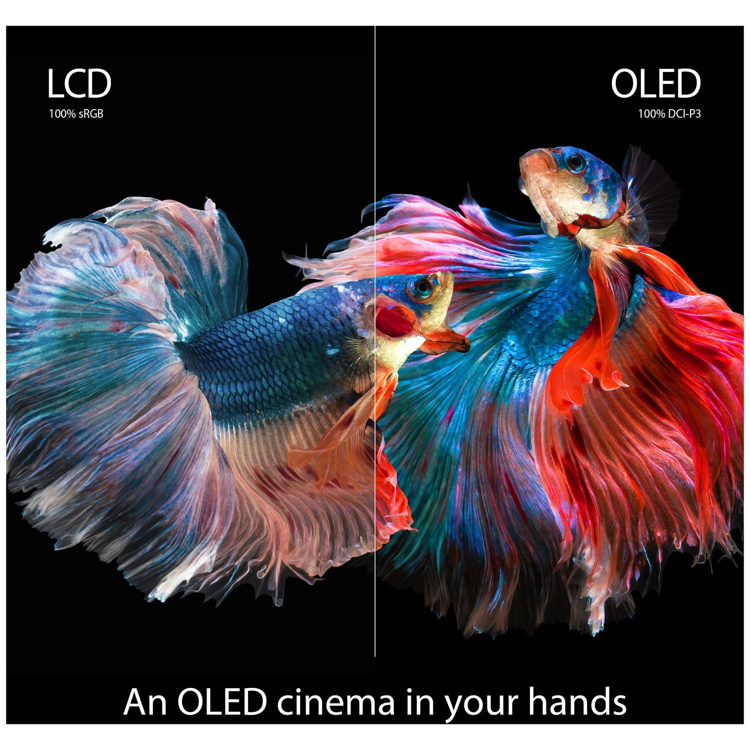 Vivobook 15 OLED K513EQ - 15.6'' Core i5-1135G7 8GB DDR4 512GB SSD