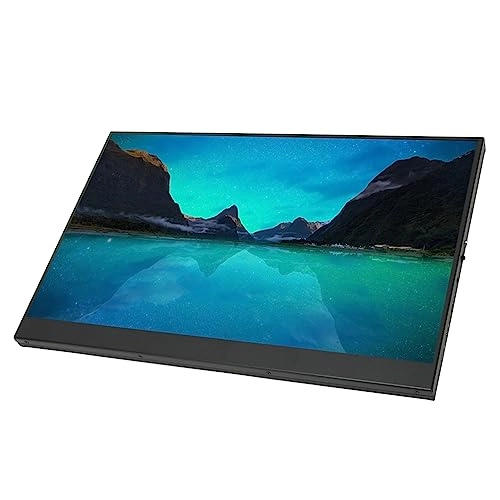 Portable Monitor - POENVFPOsozyr41unk 17.3 inches 2560 x 1440