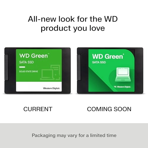 WDS100T3G0A - 1 TB 2.5/7mm
