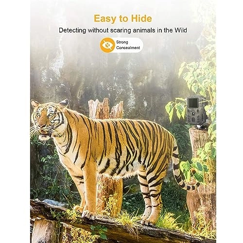 Wildlife Hunting Camera - 5MP