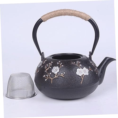 Cast Iron Teapot