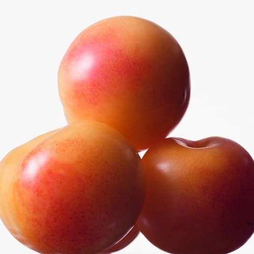 Euphoria Eau de Toilette 50ml